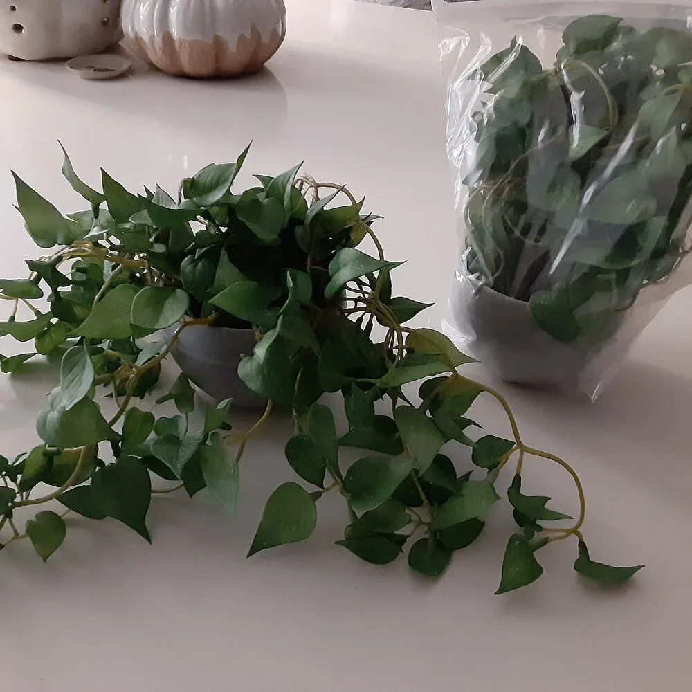 Faux Plant - set of two - NWOT